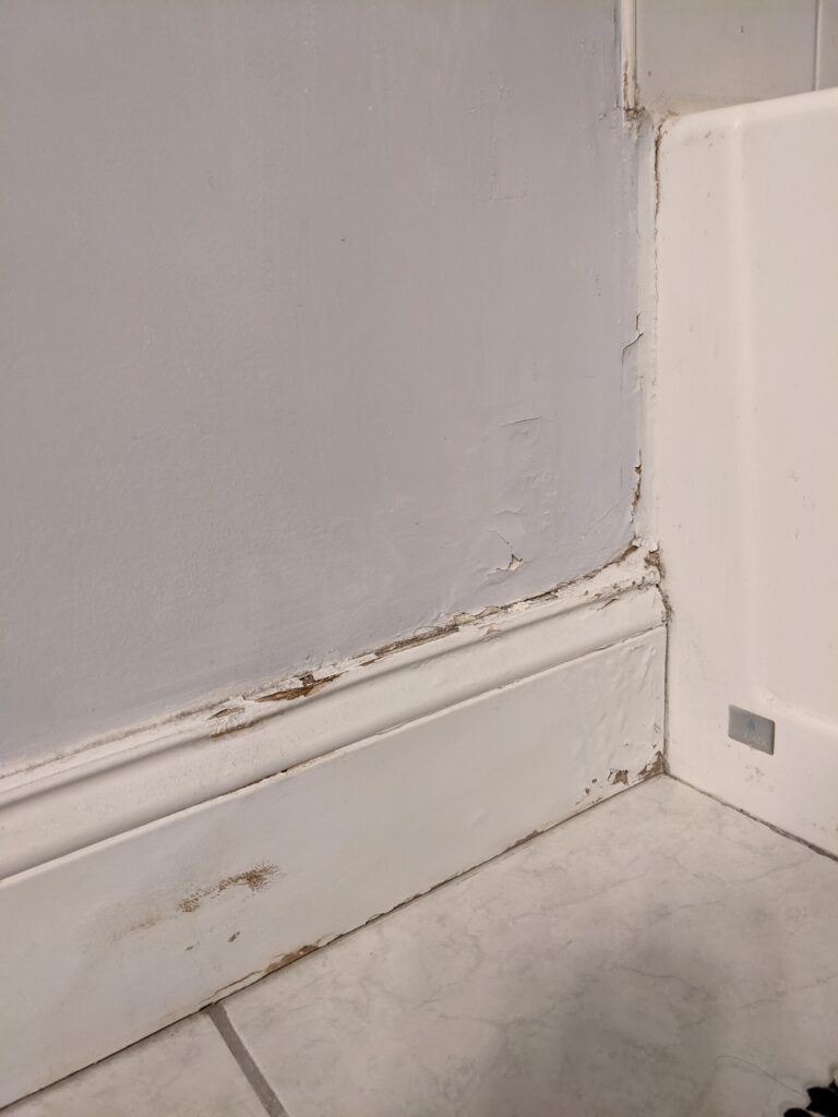 Water Damaged Walls