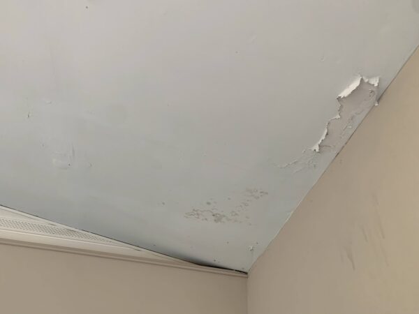 top causes of drywall damage